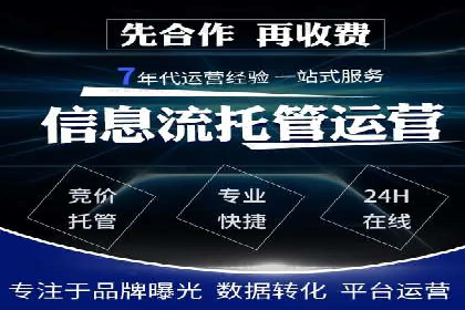 百度竞价排名案例解析：如何快速提升网站流量